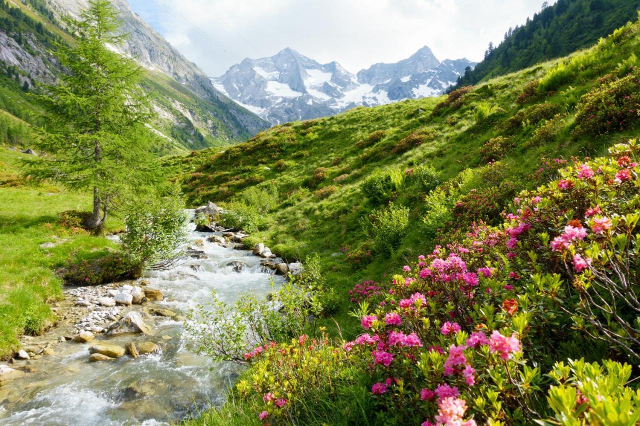 Manni Home - Rooms & Apartments Mayrhofen Luaran gambar